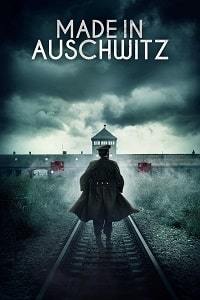 Сделано в Освенциме: Нерассказанная история блока номер десять (2020)